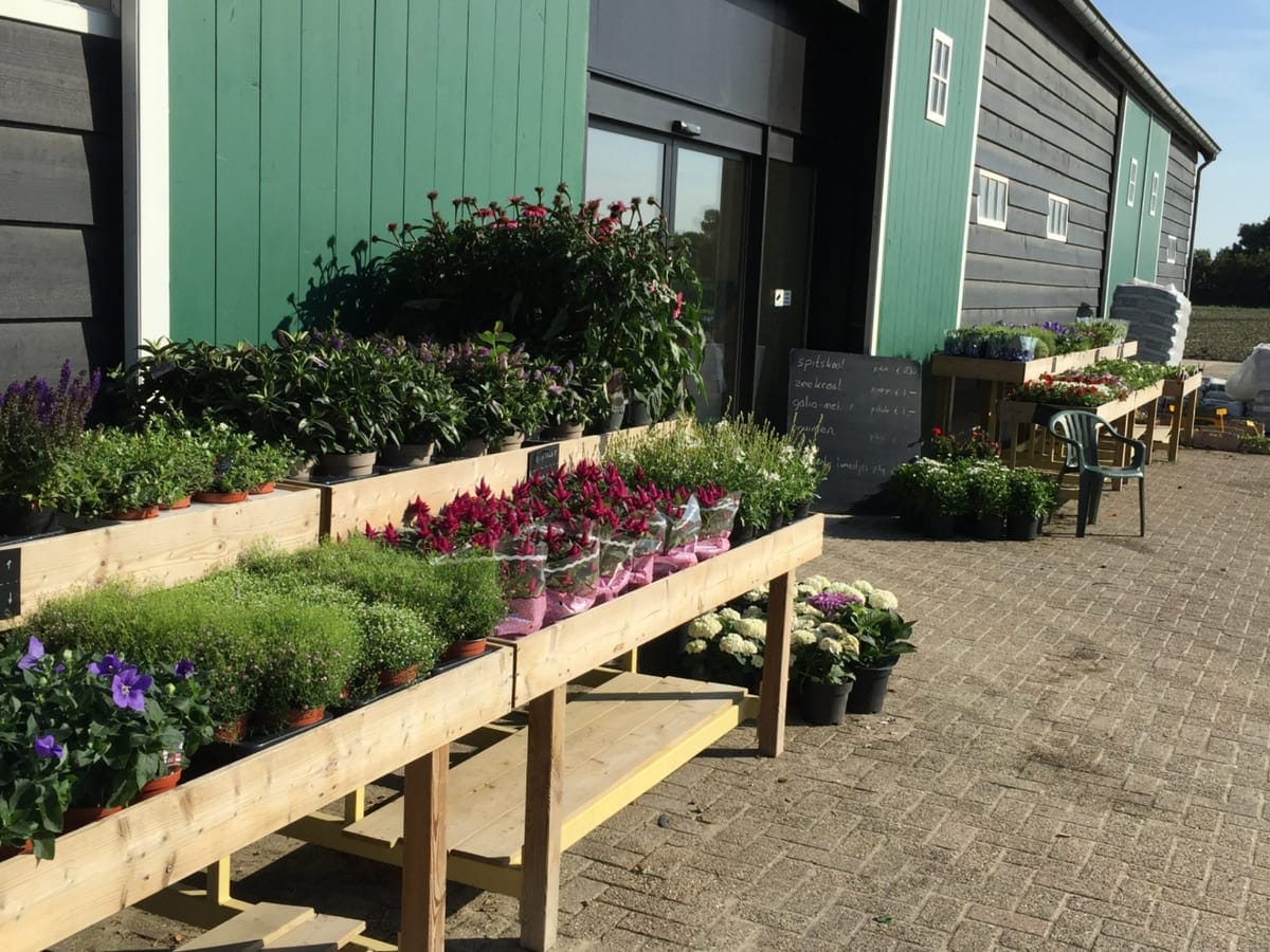 De groene schuur van boerderijwinkel De Prelaat in Westkapelle met planten voor de deur